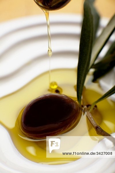 Olivenöl übergossen  erhöhte Ansicht  Nahaufnahme