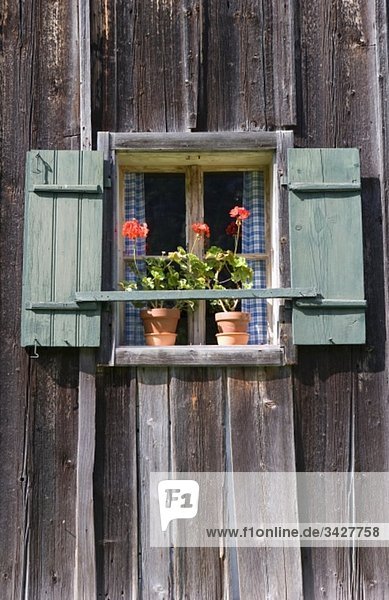 Österreich  Salzkammergut  Gosau  Bauernhaus mit Topfpflanzen auf einer Fensterbank
