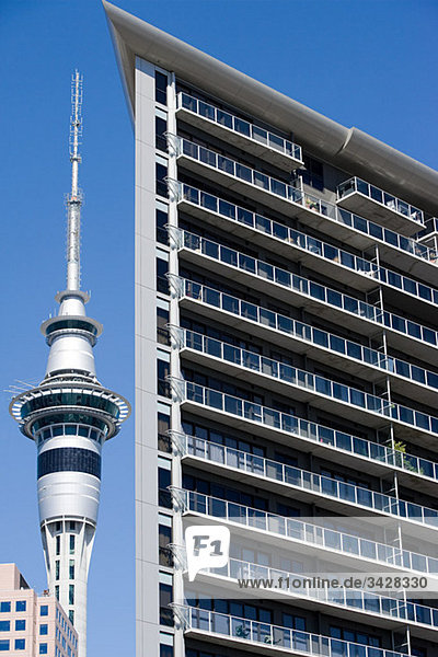 Auckland  Skytower und Wolkenkratzer