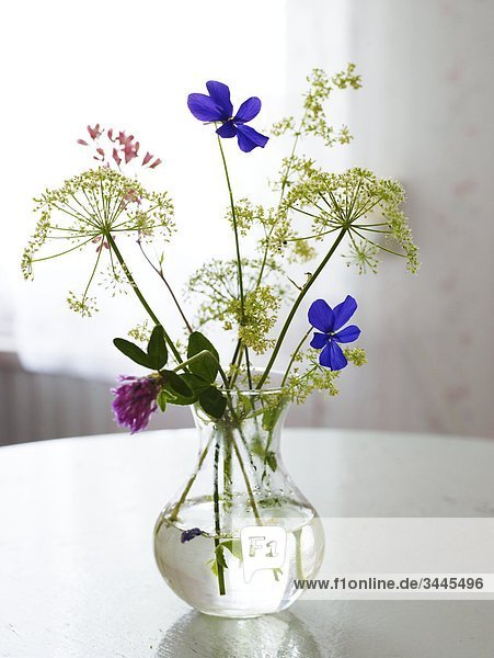 Scandinavia  Sweden  Smaland  View of flower vase on table