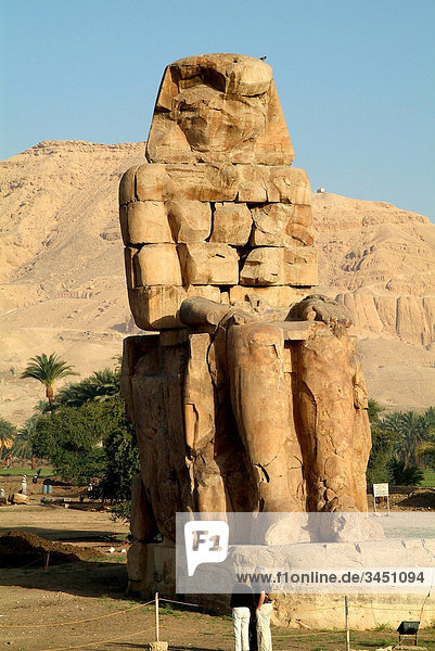 Touristen vor einem Memnonkoloss  Luxor  Ägypten