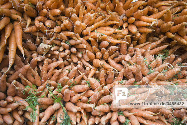 Detail of carrots