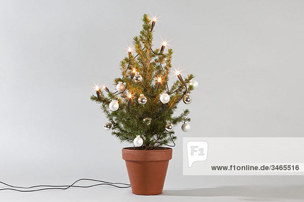 Ein kleiner Weihnachtsbaum mit Lichtern und Kugeln geschmückt