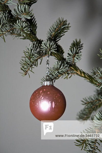 Ein Weihnachtskugelschmuck  der an einem Baumzweig hängt.