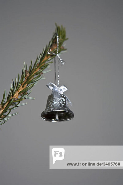 A silver bell hanging from a tree branch