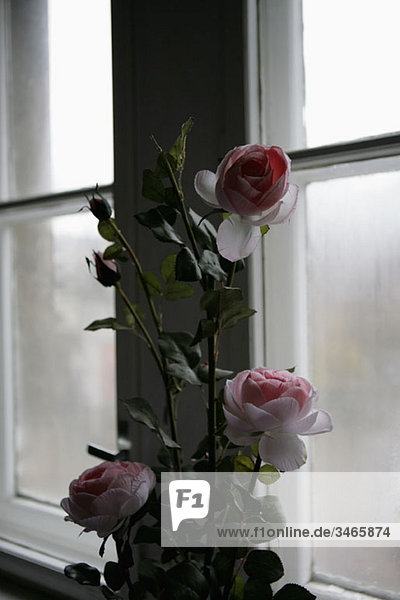 Ein Rosenstrauß neben einem Fenster