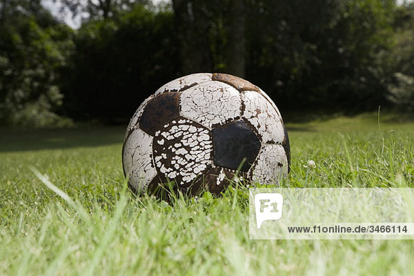 Ein Fußball auf Rasen