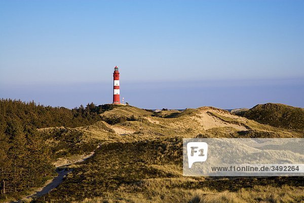 Leuchtturm auf Amrum  Schleswig-Holstein  Deutschland  Erhöhte Ansicht