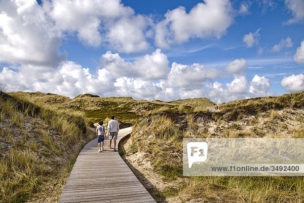Man and boy hiking on a boardwalk in the dunes  Kampen  Sylt  Germany