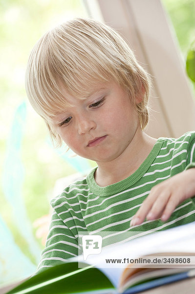 Junge schaut sich ein Buch an  Flachwinkelansicht