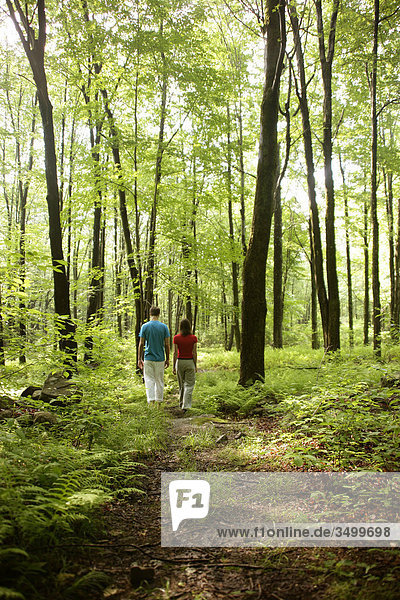 Paar geht in einem Wald spazieren  Rückansicht
