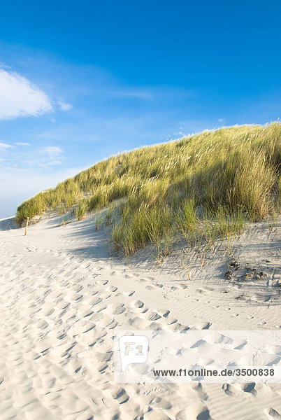 Strand und Dünen auf Wangerooge  Deutschland
