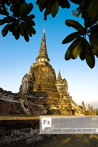 Tempel Wat Phra Si Sanphet  Ayuthaya  Thailand