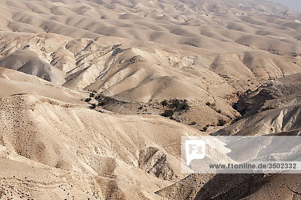 Westjordanland  Wadi Qelt  der Wüste zwischen Jerusalem und Jericho