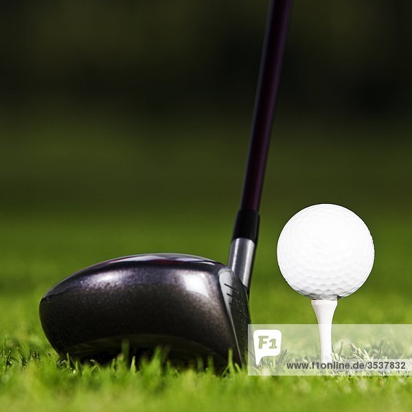 Golf Club und Golfball  Nahaufnahme  Schweden