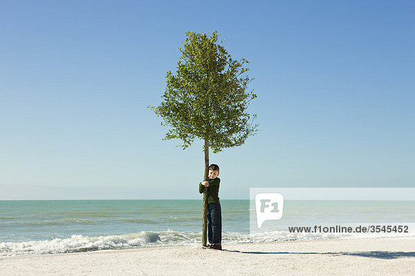 Junge umarmender Baum  der am Strand wächst