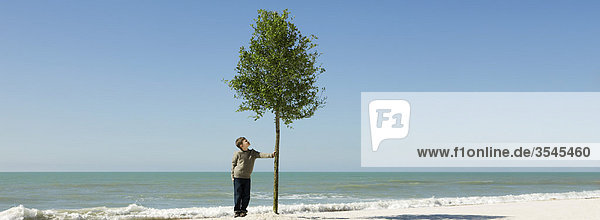 Junge bewundert Baum wachsen am Strand