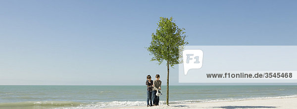 Kinder tränken den Baum  der am Strand wächst