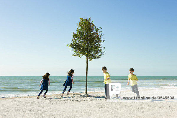 Kinder  die am Strand um den Baum herum jagen.