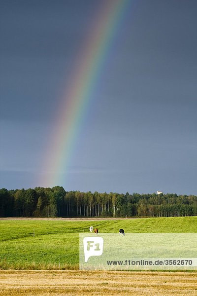 Regenbogen über ein Feld  Schweden