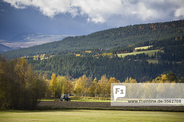 Traktor arbeiten in einem Feld im Herbst  Norwegen
