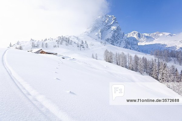 The Mitterfeldalm at the Hochkoenig Berchtesgadener Alps Austria