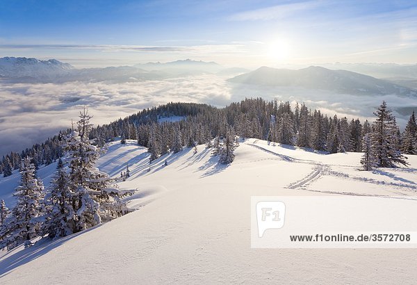 View at sunrise from Hochkeil above the Salzachtal Berchtesgadener Alps Austria