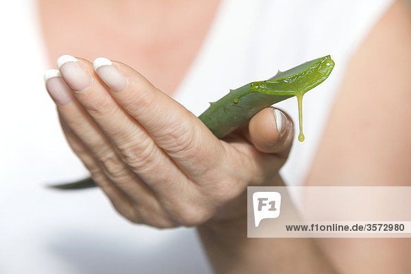 Aloe Vera leaf in woman's hand  close-up