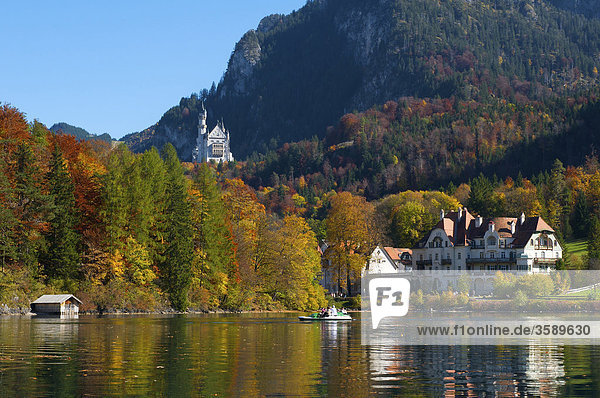 Schloss Neuschwanstein und Alpsee  Bayern  Deutschland  Europa