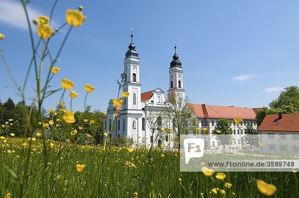 Kloster Irsee  Schwaben  Bayern  Deutschland  Europa
