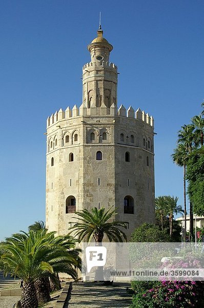 Sevilla Andalusia - Spain Torre del Oro in Seville