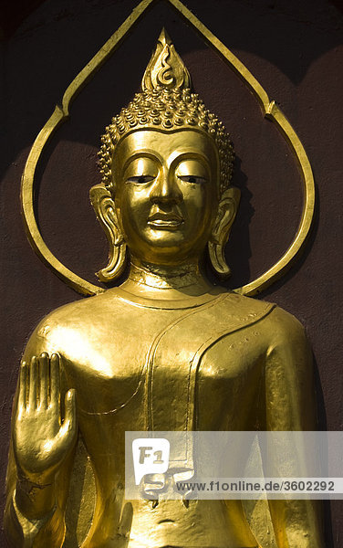 Goldene Buddhastatue  Tempel Watdokkham  Chiang Mai  Thailand