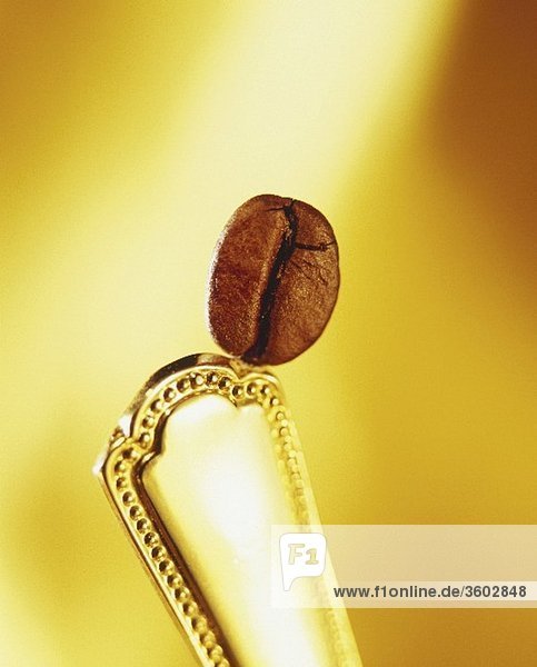 Eine Kaffeebohne auf einem Löffelstiel