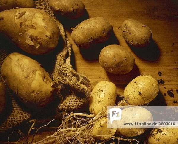 Neue Kartoffeln mit Erde und Jutesack