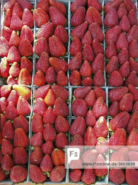 Viele Erdbeeren in Behältern auf einem Markt