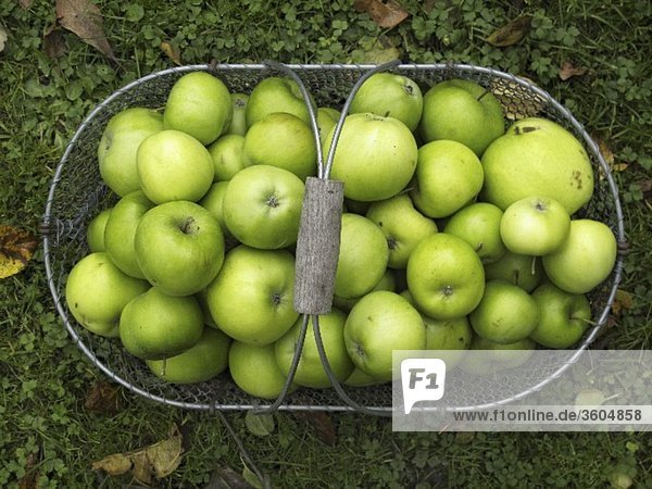 Green apples in basket on grass (overhead view)