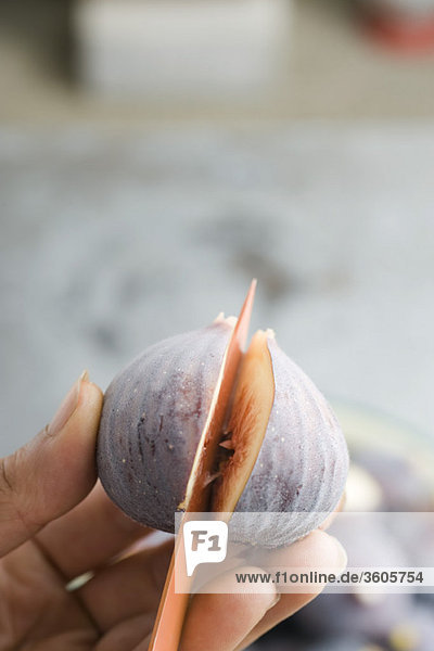 Cutting a ripe fig