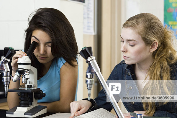 Classmates completing science class assignment together using microscope