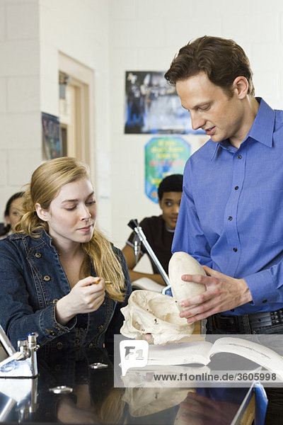 Lehrer zeigt dem Schüler in der Anatomieklasse den Schädel.