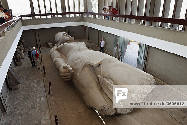 Kolossalstatue Ramses II  Memphis  Ägypten  Afrika