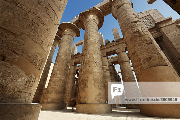 Säulen  Tempel von Karnak  Karnak  Ägypten  Afrika