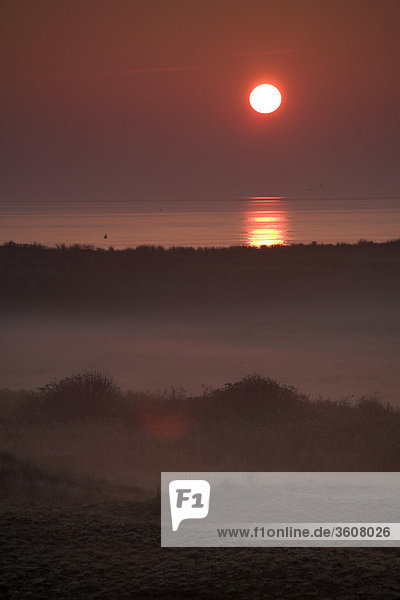 Sonnenaufgang über Texel  Niederlande