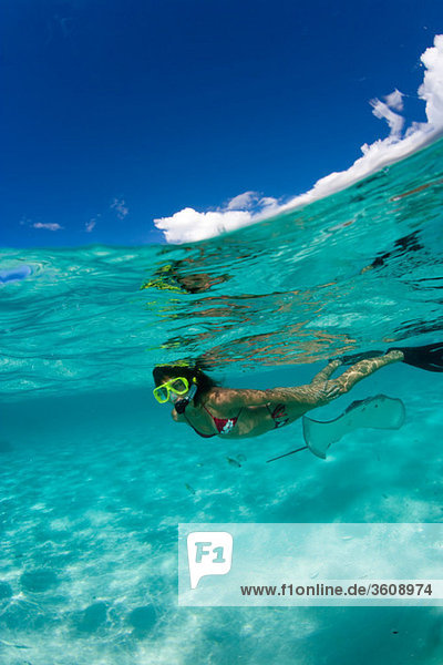 Snorkeler in shallow water.