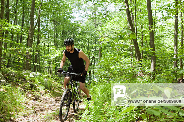 Male cyclist in forest