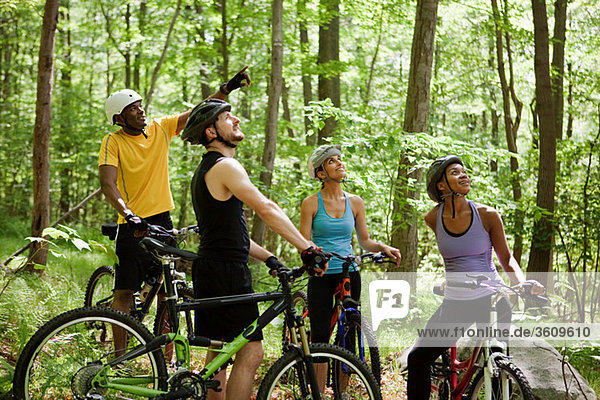 Vier Radfahrer im Wald