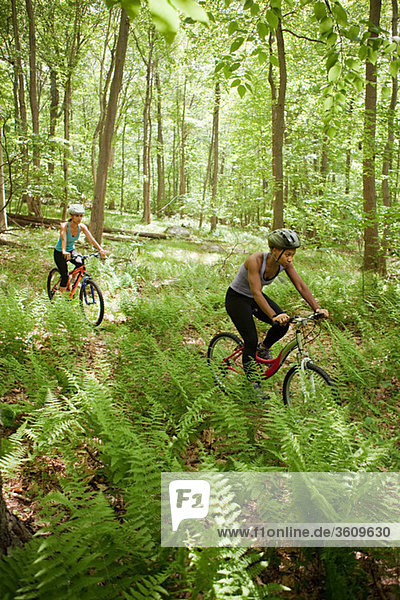 Two female cyclists in forest