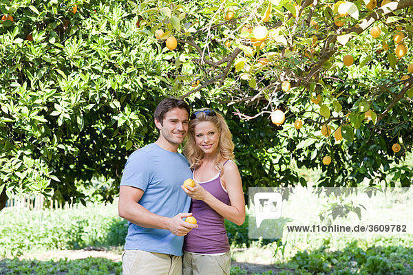 Paar bei Zitronenbaum