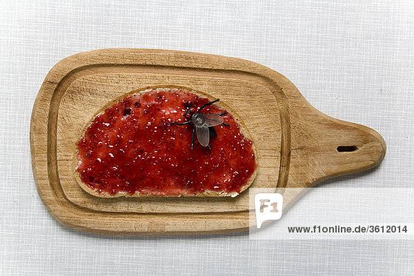 Fly on slice of bread with jam