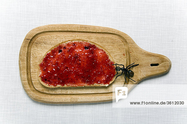 Fly on slice of bread with jam