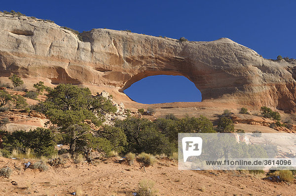 Wilson Arch in der Nähe von Moab  Utah  USA